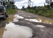 Puluhan Tahun Rusak, Jalan Lintas Provinsi di Mendahara Ulu Butuh Perhatian Serius