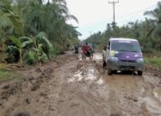 Bupati Tanjabtimur Dilla Tetap Prioritaskan Perbaikan Jalan Sadu di Tengah Efisiensi Anggaran