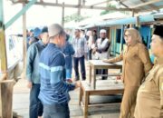 Bupati Tanjab Timur Dilla Hikmah Sari Tinjau Langsung Perbaikan Dermaga Puding