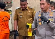 Produsen Nakal MinyaKita Curangi Konsumen: Kurangi Takaran hingga Gunakan Izin Palsu