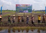 Tanam Padi Serentak se-Provinsi Jambi, Tanjab Timur Fokus Wujudkan Swasembada dan Pertumbuhan Ekonomi