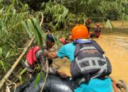 Hanyut di Sungai Tantan, Bocah 7 Tahun Masih Dalam Pencarian
