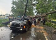 Innova Tertimpa Pohon Tumbang di Tanjabtimur, Seorang Polisi Tewas, Istri dan Anak Luka-luka