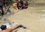 Bocah 7 Tahun Tewas Tenggelam, Ditemukan 6 KM dari Lokasi Awal
