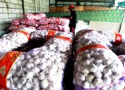 Realisasi Impor Bawang Putih Tersendat, Rupiah Melemah dan Harga Beli Tinggi Jadi Penghambat