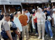 Bupati dan Wakil Bupati Tanjabtimur Tinjau Kondisi Jembatan di Desa Lambur Luar dan Kota Harapan