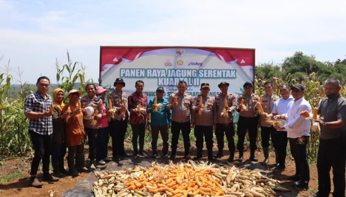 Panen Raya Jagung Nasional: Polres Tanjab Timur Turut Sukseskan Swasembada Pangan