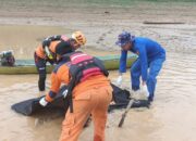 Korban Tenggelam di Sungai Batanghari Ditemukan Meninggal Dunia