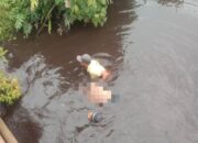 Mayat Petani Tua Mengapung di Sungai Lagan, Gegerkan Warga Geragai