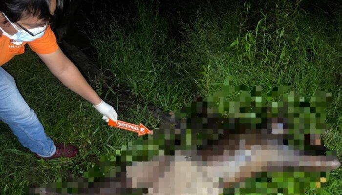 Mayat Pria Ditemukan di Kebun Karet, Warga Gading Jaya Geger Malam-Malam