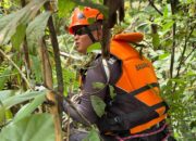 Mobil Masuk Jurang di Perbatasan Merangin–Kerinci, Dua Penumpang Hilang dalam Pencarian Tim SAR