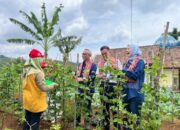 Yayasan AHM Kembangkan Desa Sejahtera Astra Honda Jalatrang, Dorong Wisata Berkelanjutan di Ciamis