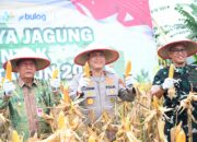 Polri Perkuat Ketahanan Pangan Nasional melalui Panen Raya Jagung Serentak Kuartal I Tahun 2026