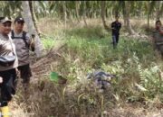 Warga Geger, Pria Lansia Ditemukan Tewas Membusuk di Kebun Setelah Lima Hari Menghilang