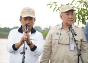 Staf Ahli Menteri Lingkungan Hidup Nyatakan Jambi Jadi Contoh Gerakan Tanam Pohon Serentak