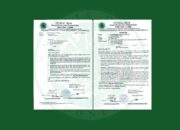 Sambut Ramadhan 1447 H, MUI Jambi Ajak Umat Perkuat Persatuan dan Toleransi