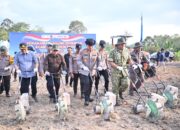 Dukung Ketahanan Pangan Nasional, Polda Jambi Gelar Tanam Jagung Raya Serentak Kuartal I Tahun 2026