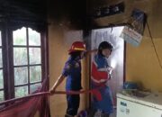 Korsleting Kabel TV Picu Kebakaran di Paal Merah, Damkar Jambi Gerak Cepat Padamkan Api