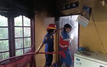 Korsleting Kabel TV Picu Kebakaran di Paal Merah, Damkar Jambi Gerak Cepat Padamkan Api
