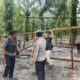Diduga Jadi Arena Judi Sabung Ayam, Lokasi di Parit 7 Dibongkar Aparat dan Warga