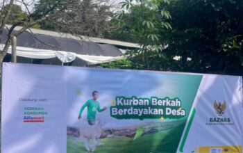 BAZNAS Salurkan Sedekah Pelanggan Alfamart, Hadirkan Kebahagiaan Idul Adha