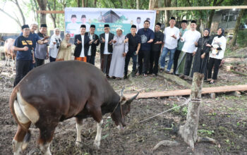 Bank Jambi Kurban 42 Ekor Sapi dan 5 Ekor Kambing