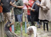 Dinas PUTR Provinsi Jambi Gelar Penyembelihan Hewan Kurban, Perkuat Semangat Kebersamaan dan Kepedulian Sosial