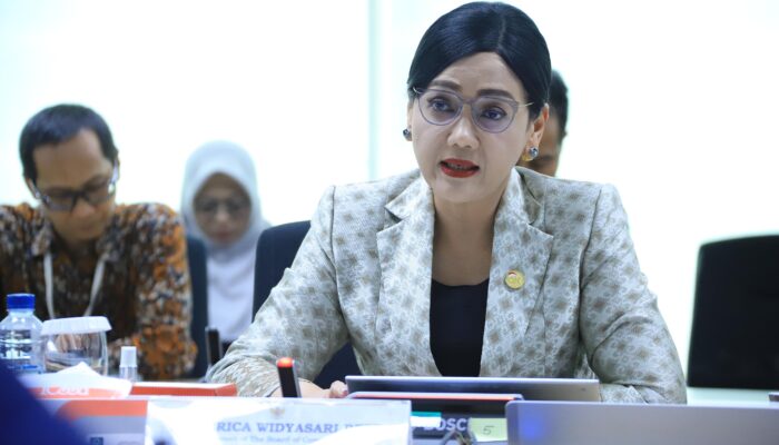 OECD Apresiasi Reformasi OJK, Perkuat Industri Asuransi dan Dana Pensiun Menuju Standar Global