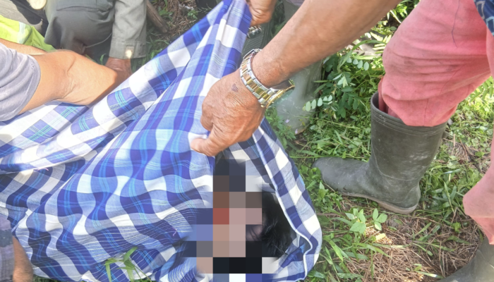 Sempat Hilang Semalaman, Pemburu Burung di Muaro Jambi Ditemukan Meninggal di Tengah Sawah