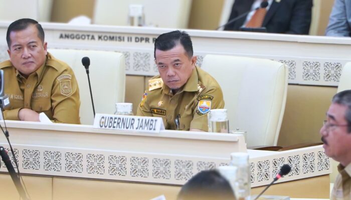 Saat Raker, RDP dan RDPU Bersama Komisi II DPR RI, Gubernur Al Haris Terus Perjuangkan Nasib P3K Penuh Waktu dan Paruh Waktu