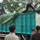Terbongkar! Jaringan Perdagangan Pupuk Subsidi di Muaro Jambi Digerebek, 7,35 Ton Urea Diamankan Polda Jambi