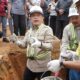 Gubernur Al Haris Letakkan Batu Pertama Pembangunan RSUD Bukit Tengah di Kerinci