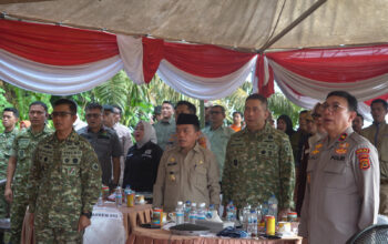 Pangdam XX/Tuanku Imam Bonjol Ikuti Panen Raya Serentak Bersama Presiden RI, Perkuat Ketahanan Pangan Nasional