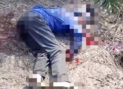 Diduga Dipicu Sengketa Lahan, Pria 58 Tahun Tewas Dibunuh di Kebun Sawit Mendahara Ulu