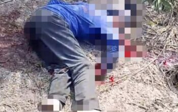 Diduga Dipicu Sengketa Lahan, Pria 58 Tahun Tewas Dibunuh di Kebun Sawit Mendahara Ulu