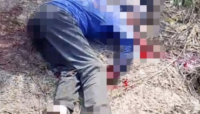 Diduga Dipicu Sengketa Lahan, Pria 58 Tahun Tewas Dibunuh di Kebun Sawit Mendahara Ulu
