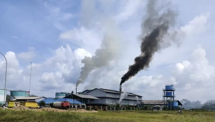 Bupati Dillah Tegaskan: Tak Boleh Ada Ruang Pungli bagi Investasi di Tanjab Timur
