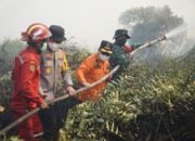 Dengan Atribut Lengkap, Al Haris Berjibaku Padamkan Karhutla di Pelosok Tanjabtim