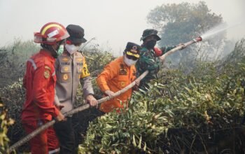 Dengan Atribut Lengkap, Al Haris Berjibaku Padamkan Karhutla di Pelosok Tanjabtim