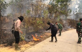 Gerak Cepat Satgas Karhutla Polda Jambi Kendalikan Kebakaran di Tahura Batanghari