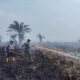 Yonif 142/KJ Turun Langsung Padamkan Karhutla, Sinergi TNI-Polri, BNPB dan Masyarakat Perkuat Penanganan Api