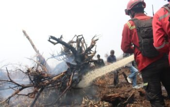 Wagub Sani Dampingi Wamen LH Tinjau Penanganan Karhutla di Desa Parit Culum Tanjab Timur