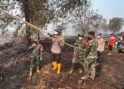 Polda Jambi Bersama Forkopimda Cek Langsung Lokasi Kebakaran di HLG Londerang