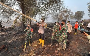Polda Jambi Bersama Forkopimda Cek Langsung Lokasi Kebakaran di HLG Londerang