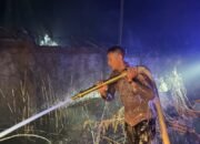 Personel Batalyon A Pelopor Satbrimob Polda Jambi Padamkan Karhutla di Sungai Bertam