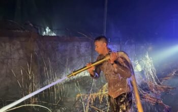 Personel Batalyon A Pelopor Satbrimob Polda Jambi Padamkan Karhutla di Sungai Bertam